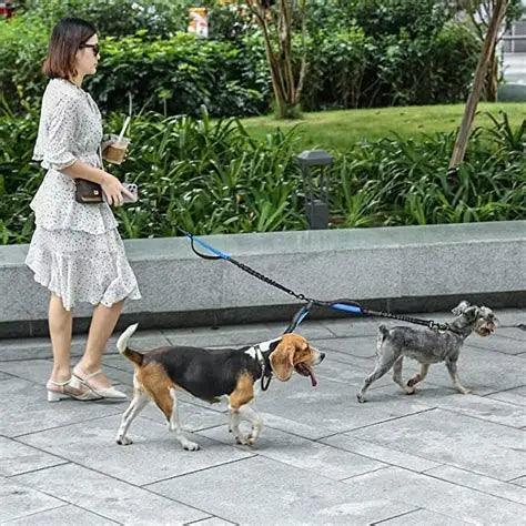 Reflective Double Dog Leash